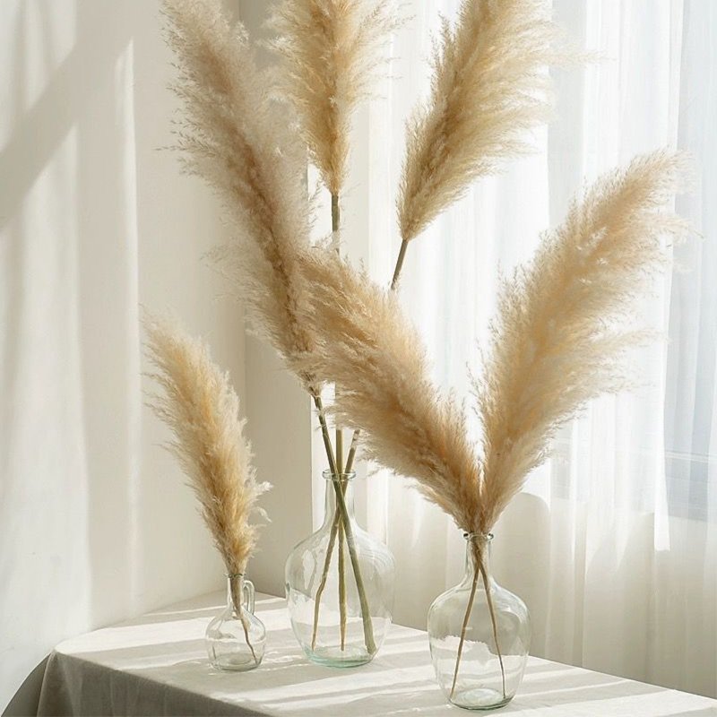 Custom color Pink White Beige Dry Pampas Grass Large Fluffy Natural Wedding Decor Preserved Dried Flower Pampas Grass