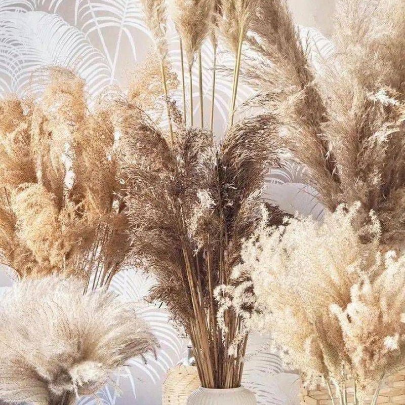 Custom color Pink White Beige Dry Pampas Grass Large Fluffy Natural Wedding Decor Preserved Dried Flower Pampas Grass