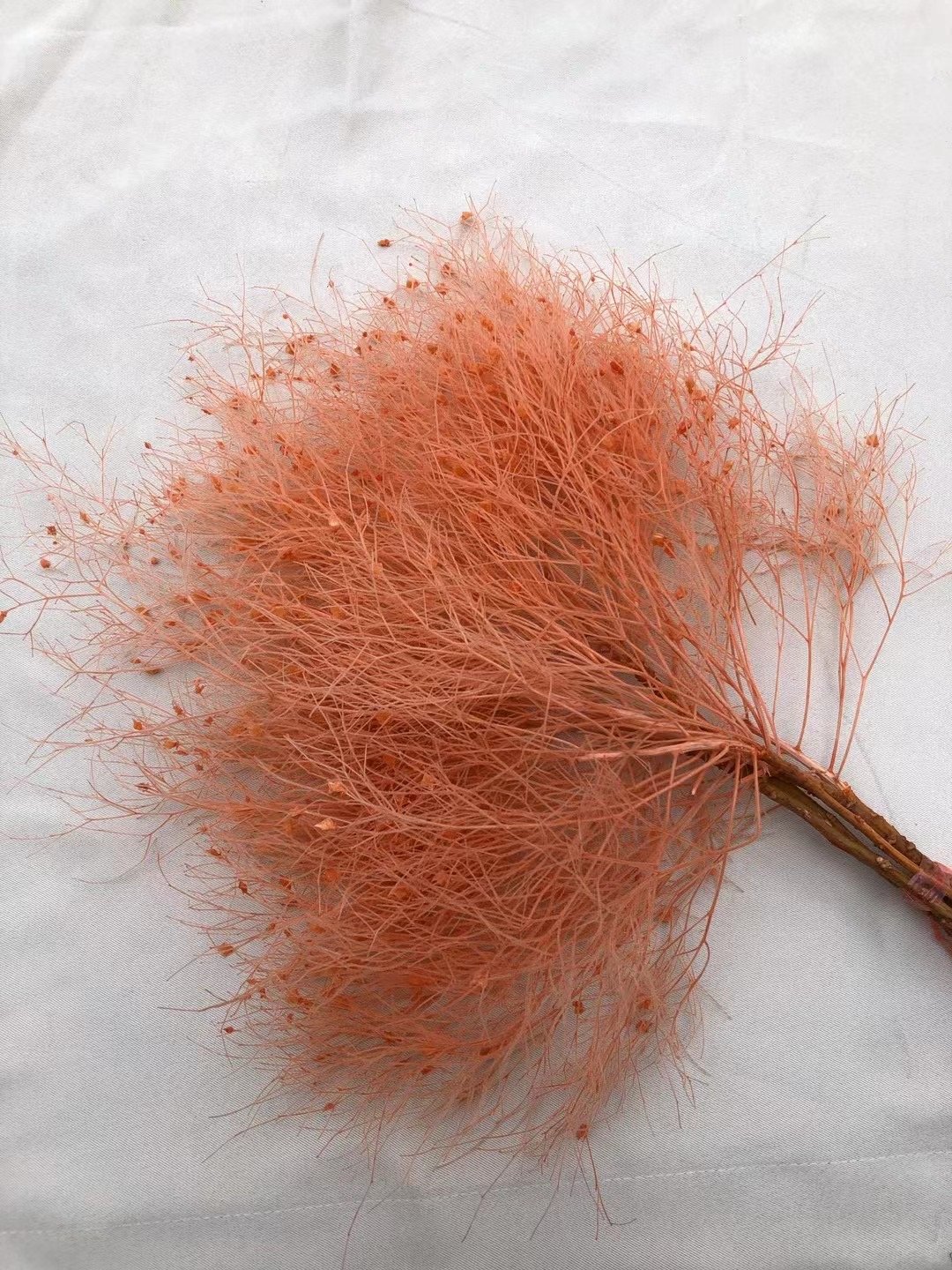 dried flower wholesaler preserved real natural eternal soft dream grass flower dried flowers & plants for events decor