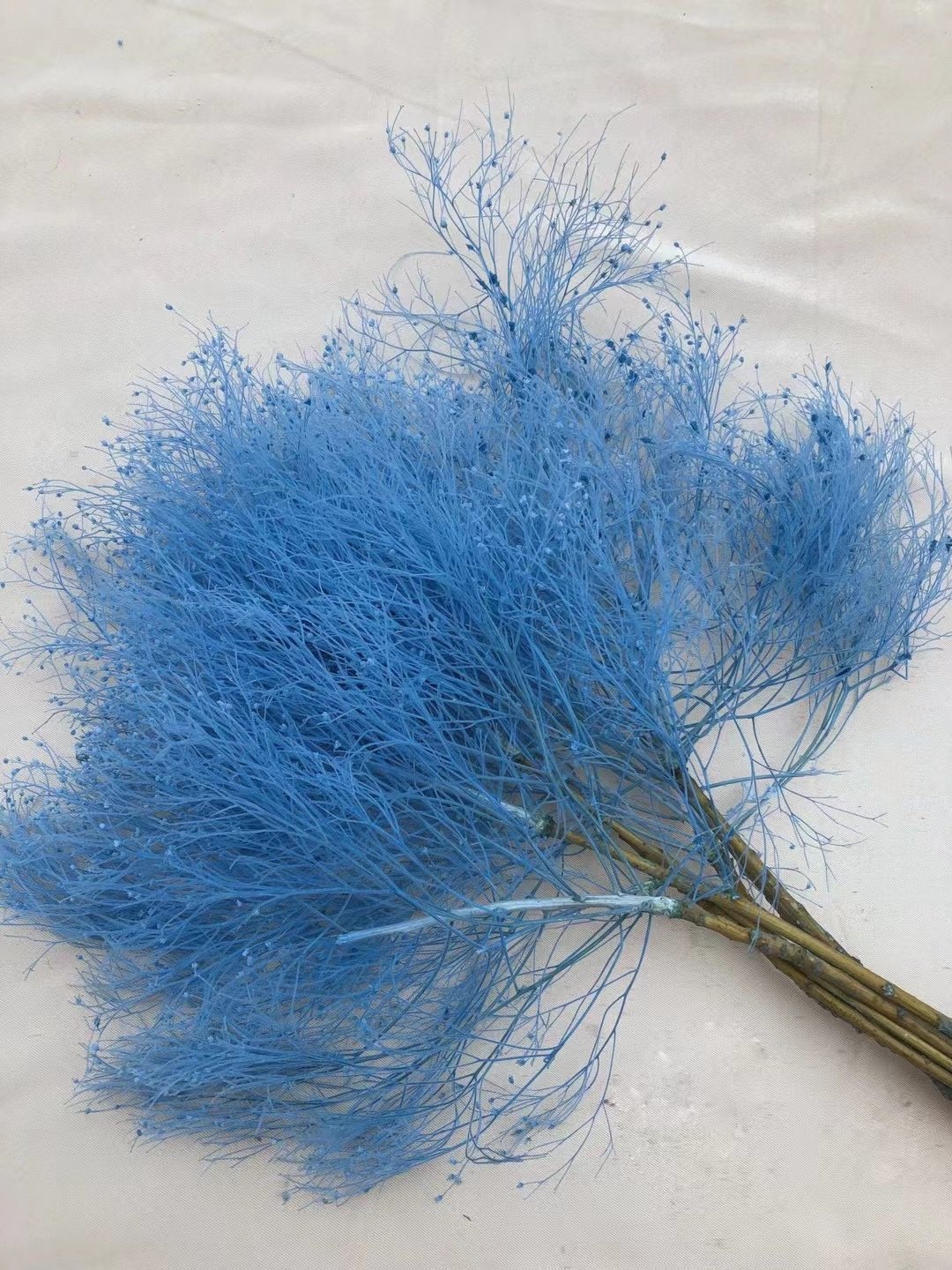 dried flower wholesaler preserved real natural eternal soft dream grass flower dried flowers & plants for events decor