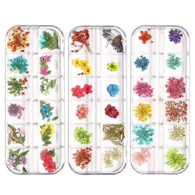 24 Colors Nail Dried Flowers,Mini Real Natural Flowers Nail Art Supplies 3D Applique Nail Decoration Kit,Dried Flowers for Resin