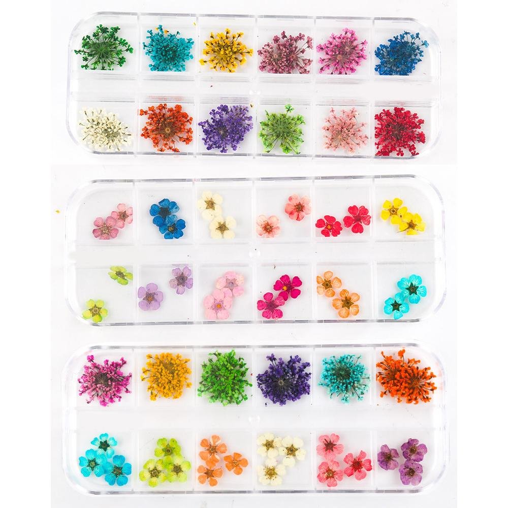 24 Colors Nail Dried Flowers,Mini Real Natural Flowers Nail Art Supplies 3D Applique Nail Decoration Kit,Dried Flowers for Resin