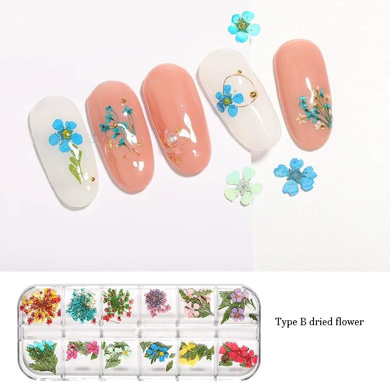 24 Colors Nail Dried Flowers,Mini Real Natural Flowers Nail Art Supplies 3D Applique Nail Decoration Kit,Dried Flowers for Resin