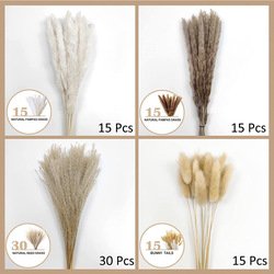 75pcs