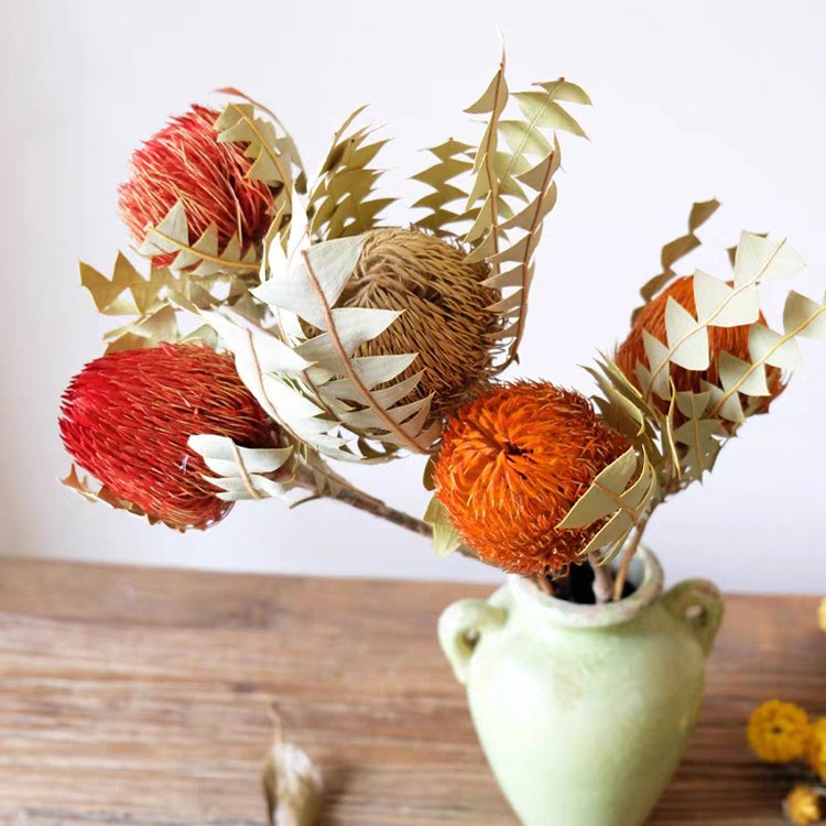 SumFlora Beautiful Colors Dry Flowers Dried Banksia for home decoration