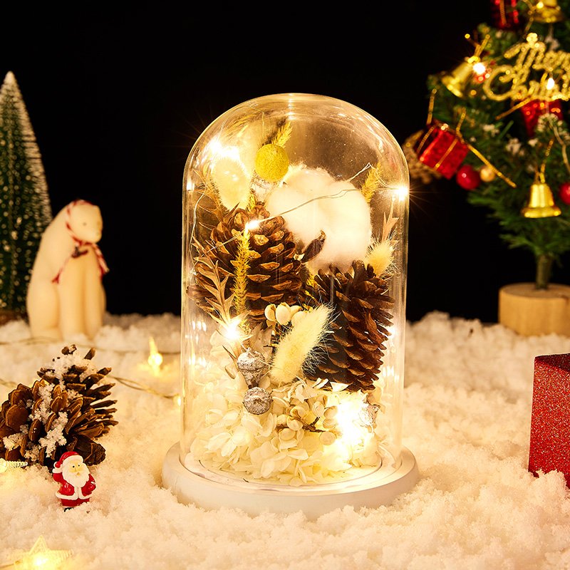 UO Natural Golden Preserved Billy Ball Pine Cone Decor Dry Flower Glass Preserved Plants In Dome Glass For Christmas Birthday