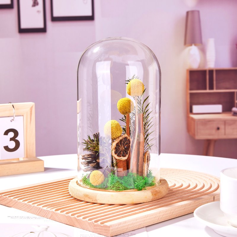 UO Natural Golden Preserved Billy Ball Pine Cone Decor Dry Flower Glass Preserved Plants In Dome Glass For Christmas Birthday