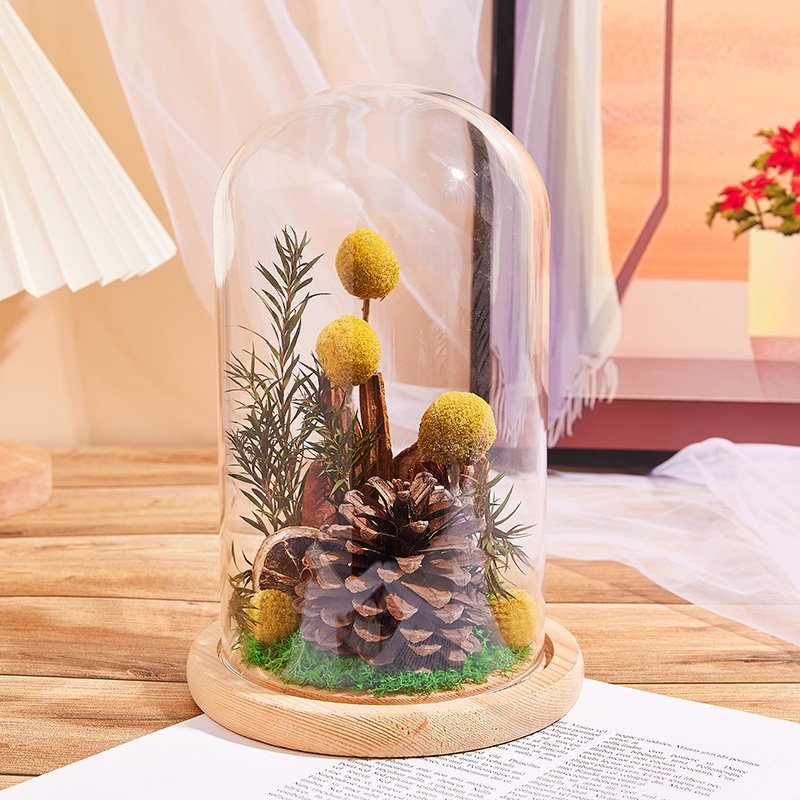 UO Natural Golden Preserved Billy Ball Pine Cone Decor Dry Flower Glass Preserved Plants In Dome Glass For Christmas Birthday