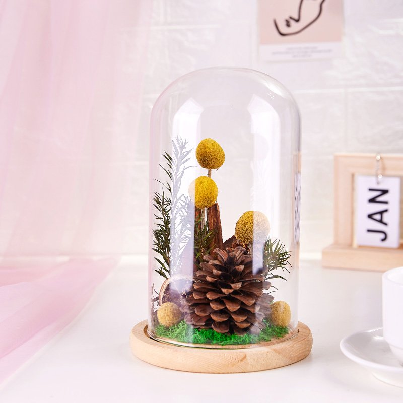 UO Natural Golden Preserved Billy Ball Pine Cone Decor Dry Flower Glass Preserved Plants In Dome Glass For Christmas Birthday