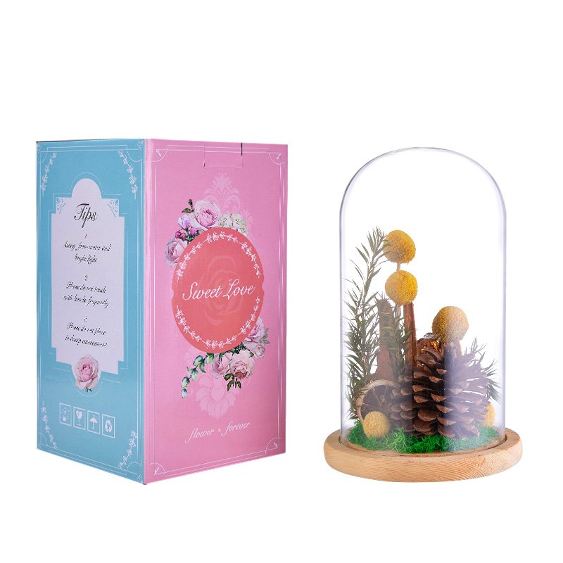 UO Natural Golden Preserved Billy Ball Pine Cone Decor Dry Flower Glass Preserved Plants In Dome Glass For Christmas Birthday