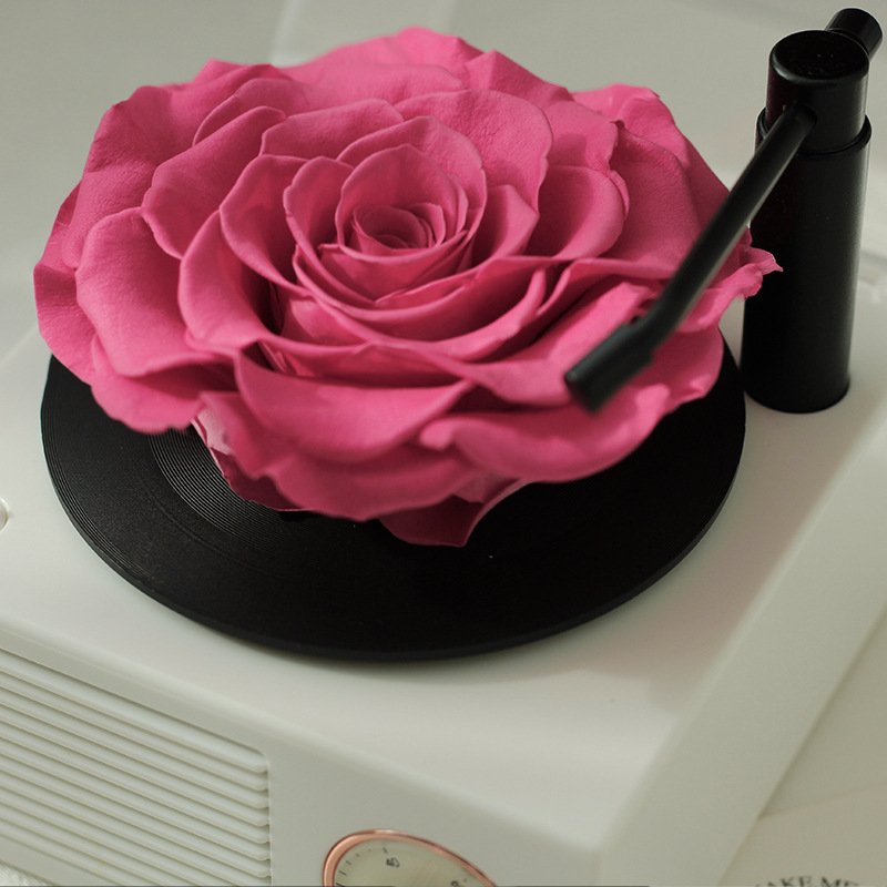 preserved red rose flowers preserved fresh rose speaker music box preserved roses flower