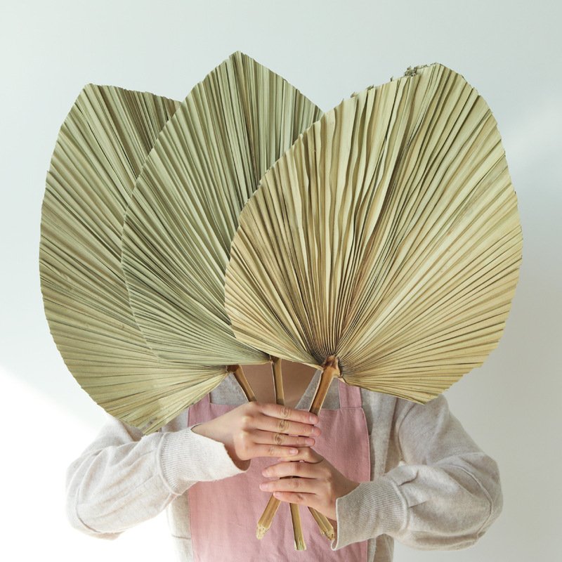 Top Seller Dried Flowers Palm Dry Fan Leaf Pampas Home Wedding Decoration Natural Dried Palm Leaves