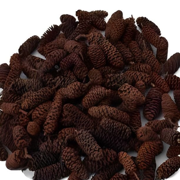 Popular Premium Quality Birch Pine Potpourri for Wedding Home Event Office Decor & Dried Flower Arrangement
