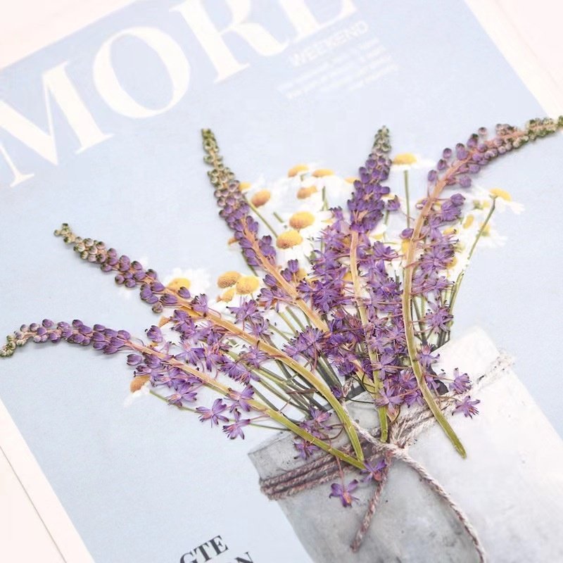 MNR2047 dried preserved long stem purple flower for makeup