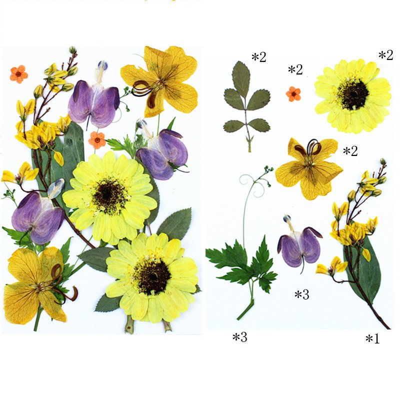 Latest Trendy Design Pressed Dried Flower Bookmark Resin Mold Candle Decor Dried Flower Leaves Natural