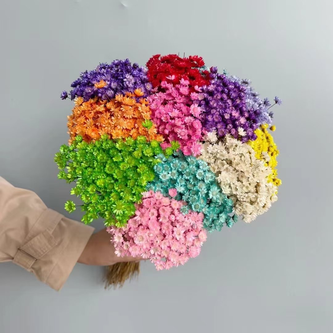 Dried Mini Star flowers Wedding Bouquet decoration flowers Floating flowers