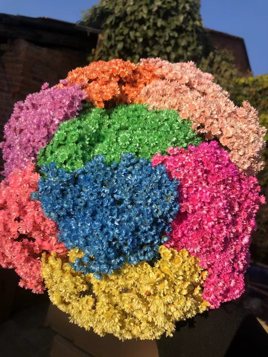 Dried Mini Star flowers Wedding Bouquet decoration flowers Floating flowers