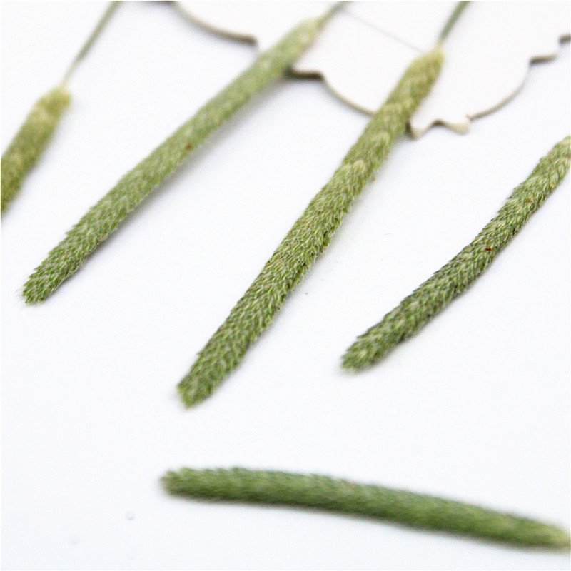 Straw stick Real Dried Leaf DIY Art Crafts Making Natural Plant Eco-friendly