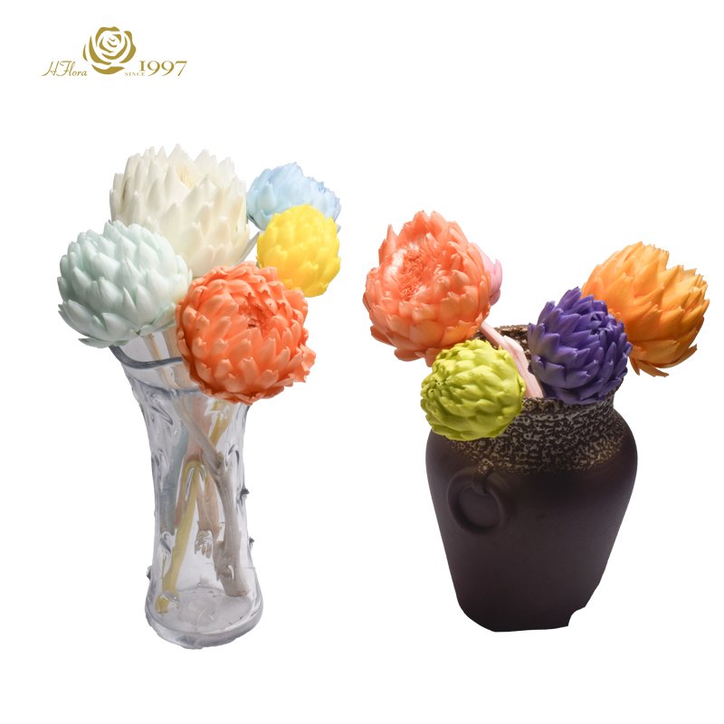 Different sizes HFloral Dried Eternal Flower Arrangement Preserved Flower Middle Size Preserved Artichoke