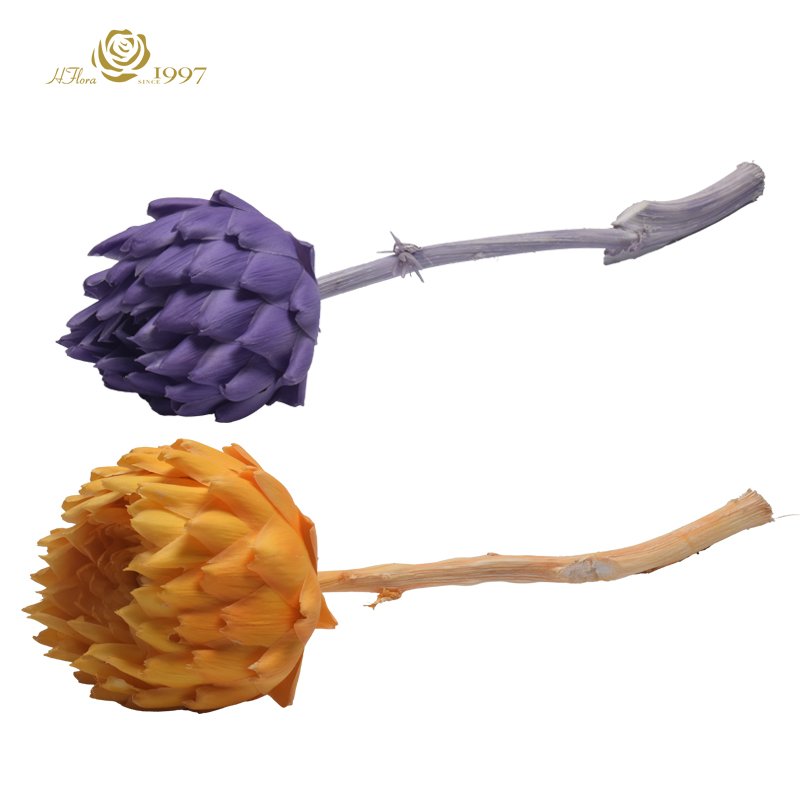 Different sizes HFloral Dried Eternal Flower Arrangement Preserved Flower Middle Size Preserved Artichoke