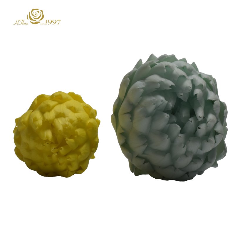 Different sizes HFloral Dried Eternal Flower Arrangement Preserved Flower Middle Size Preserved Artichoke