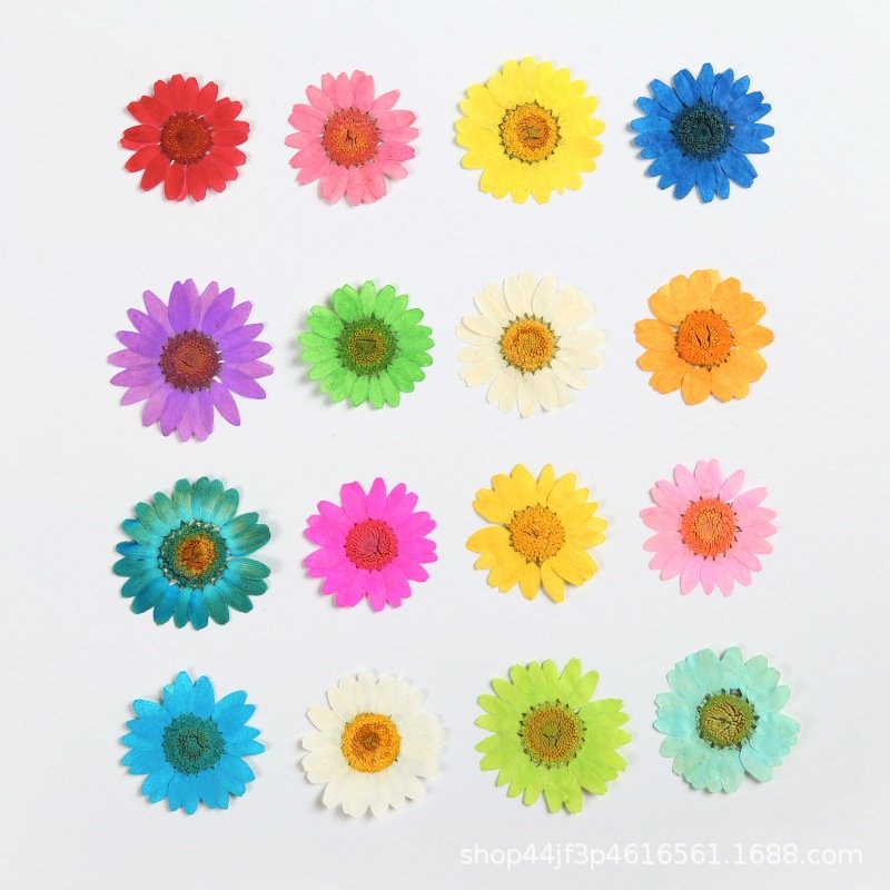 hot sale natural real dried pressed daisy flowers for resin DIY candle
