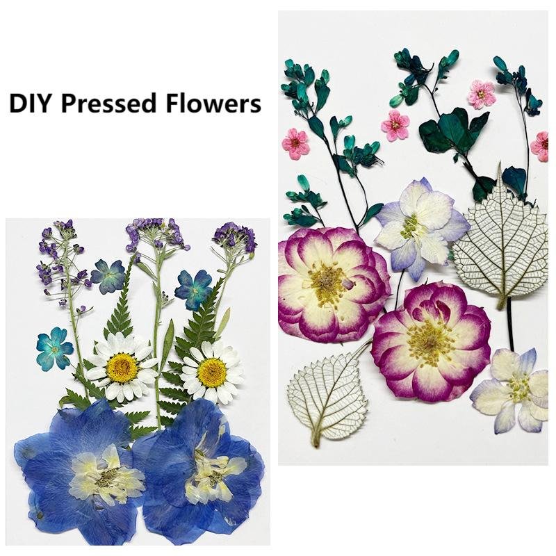 Colorful Natural Real Dried Pressed Flowers for Resin Art Silicone Mold Filler