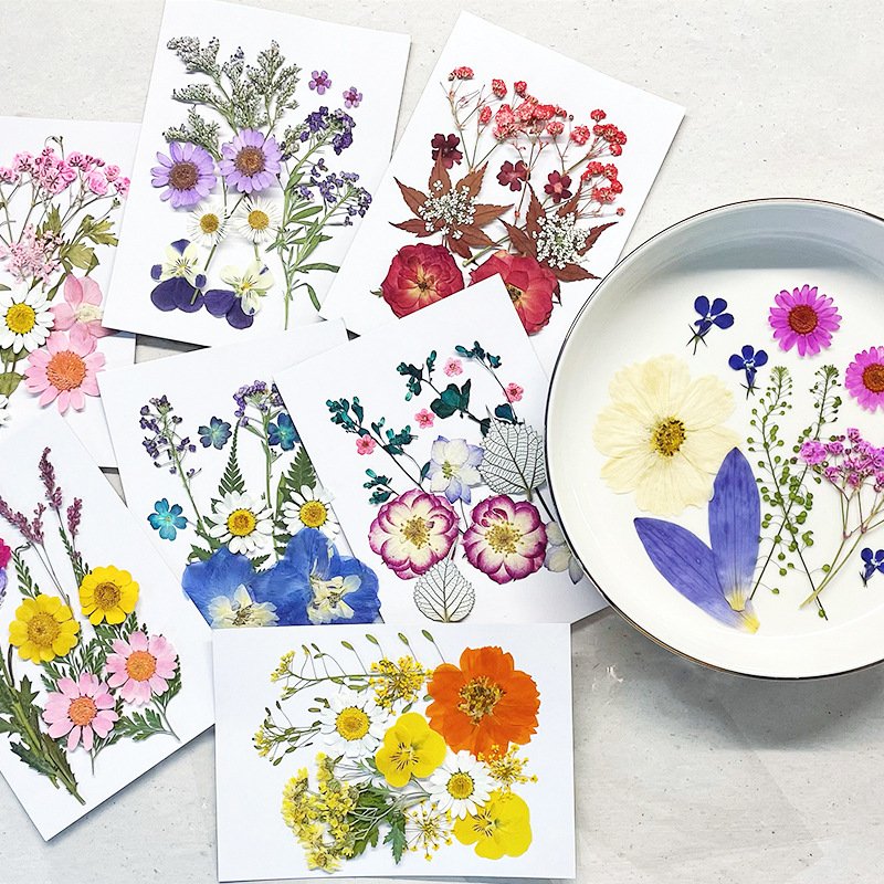 Colorful Natural Real Dried Pressed Flowers for Resin Art Silicone Mold Filler