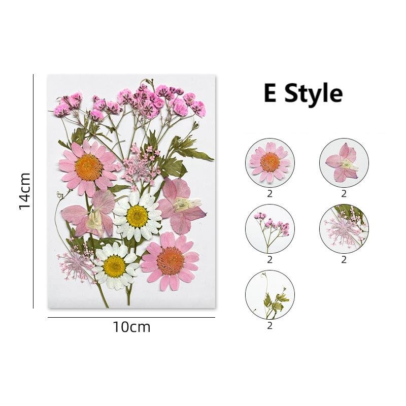 Colorful Natural Real Dried Pressed Flowers for Resin Art Silicone Mold Filler
