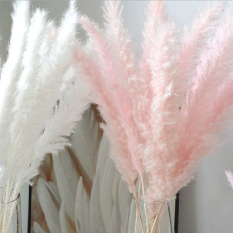 Hot Selling Home And Wedding Decoration Dried Flowers Real Natural Reed Grass 45cm Real Natural Small Pampas Grass