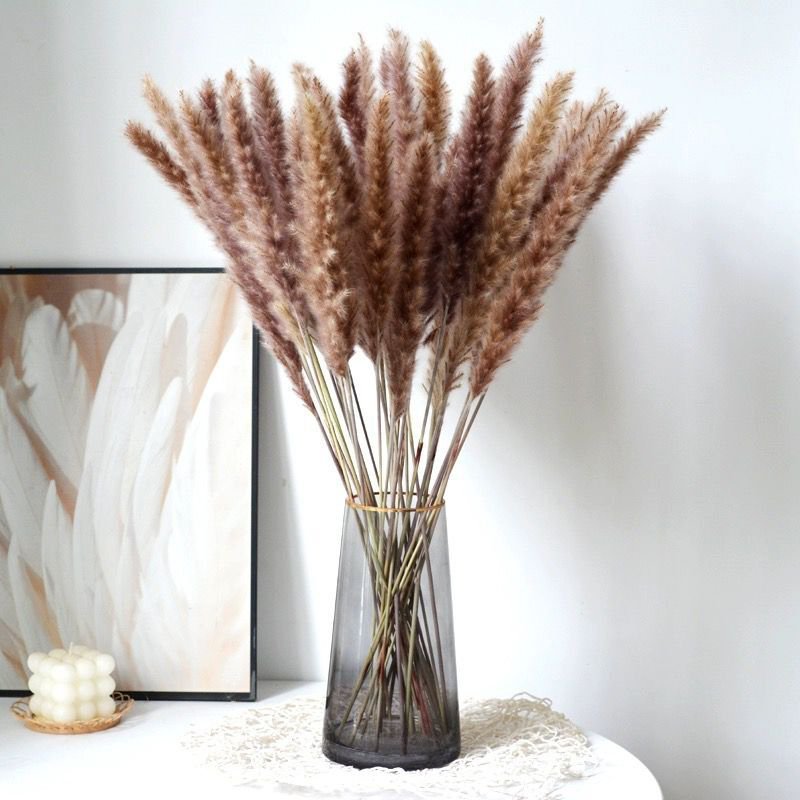 Hot Selling Home And Wedding Decoration Dried Flowers Real Natural Reed Grass 45cm Real Natural Small Pampas Grass
