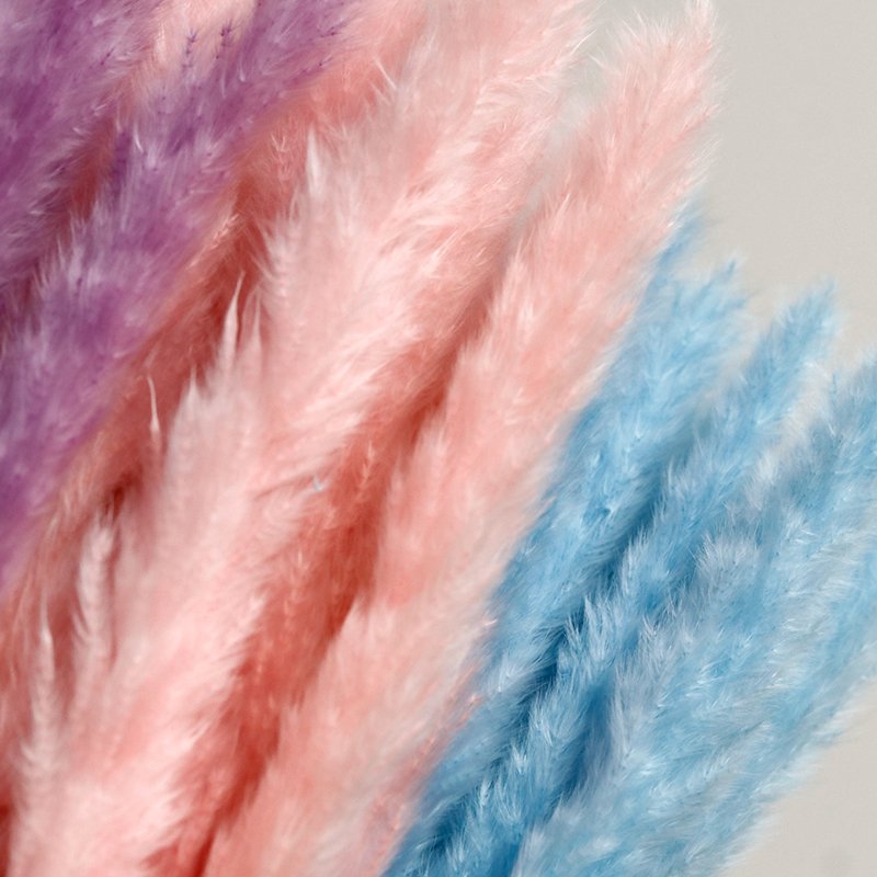 GH-052 wholesale short natural decorative vase white red dry pampa grass small reed dried pampas grass flower decor