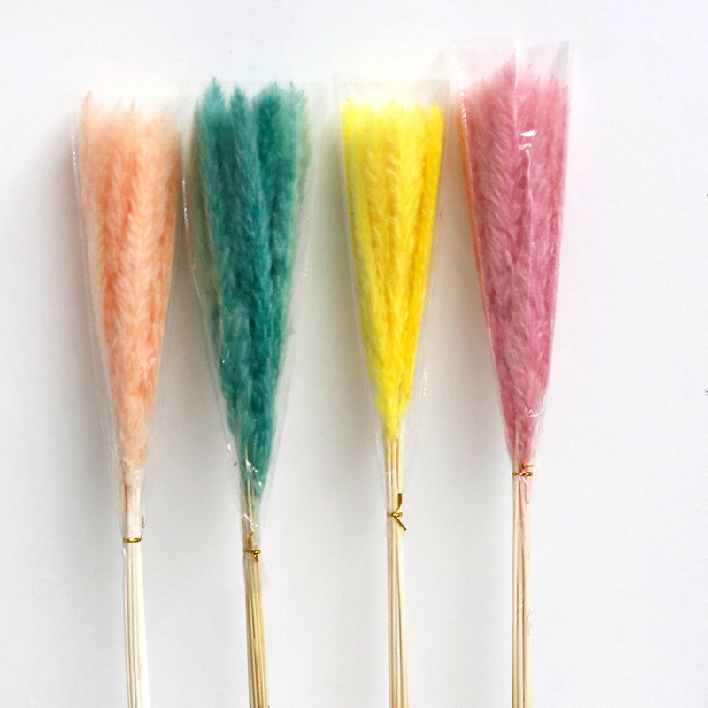 GH-052 wholesale short natural decorative vase white red dry pampa grass small reed dried pampas grass flower decor
