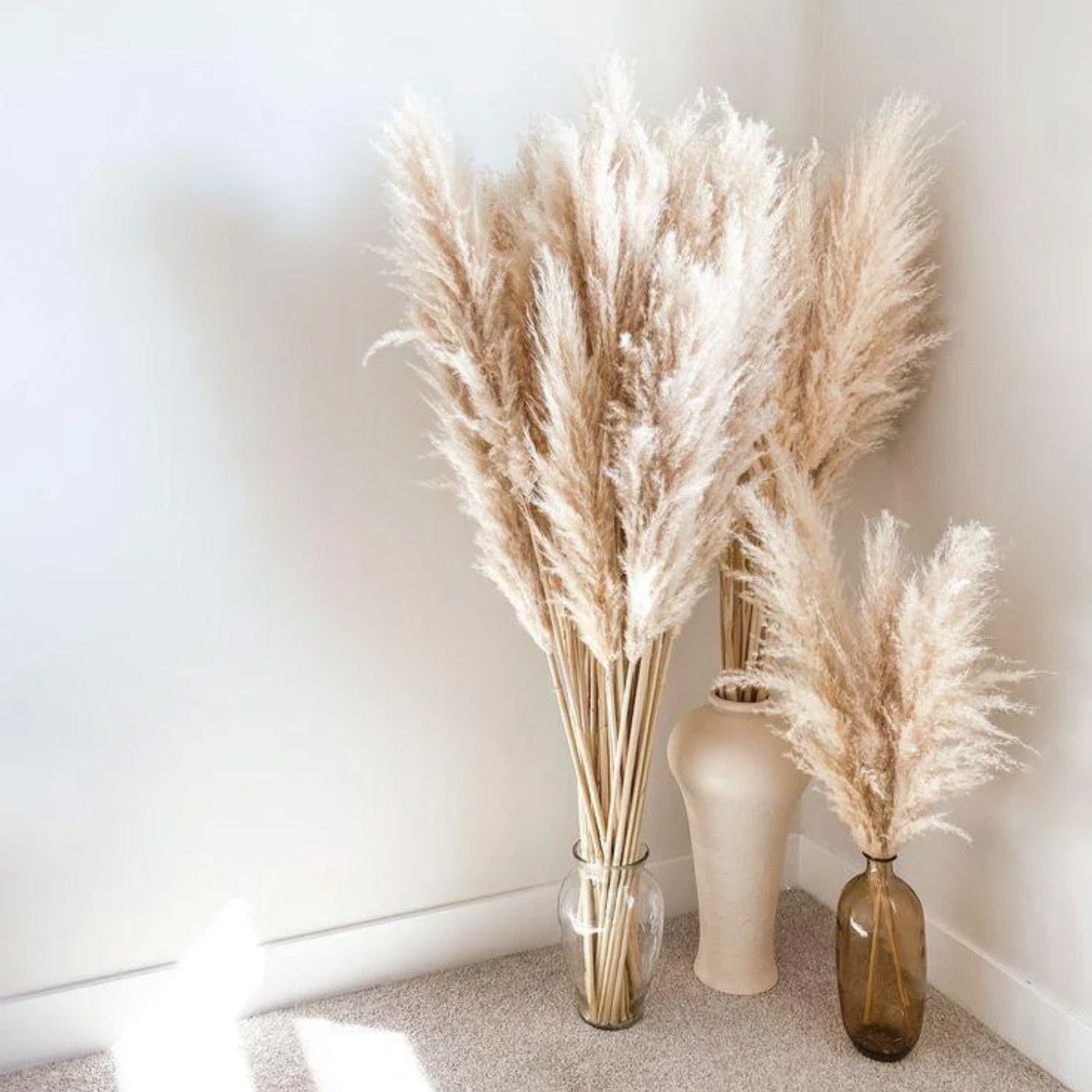 New Crop Dried Large Fluffy Pampas Grass dried flowers hot Sale for home and wedding decoration