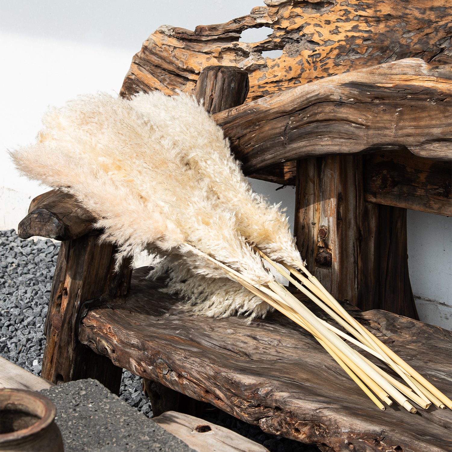 New Crop Dried Large Fluffy Pampas Grass dried flowers hot Sale for home and wedding decoration