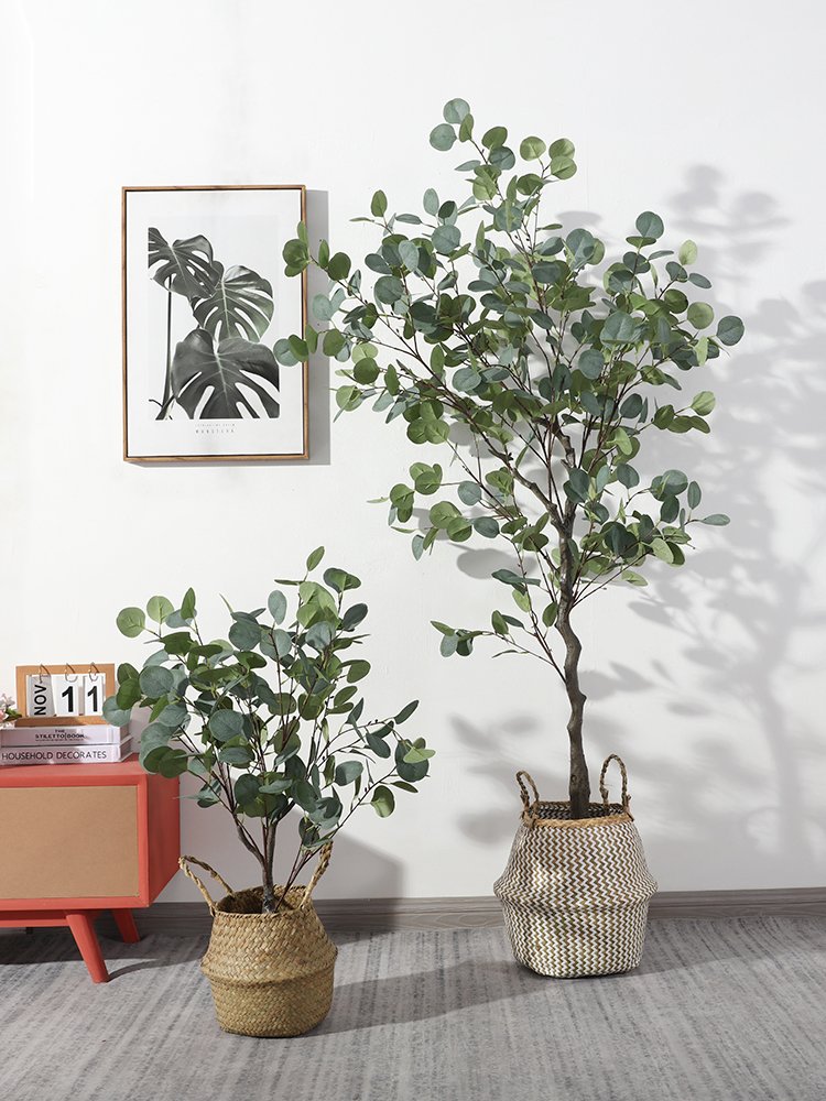 Wholesale Home Decor Dried Artificial Plant Eucalyptus Dried Flower Potted Immortal Artificial Eucalyptus Leaf Bonsai