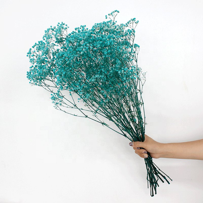 Hot Selling 2024 Preserved Baby's Breath Flowers Gypsophila for Wedding Home Decoration dried and preserved colorful Baby Breath