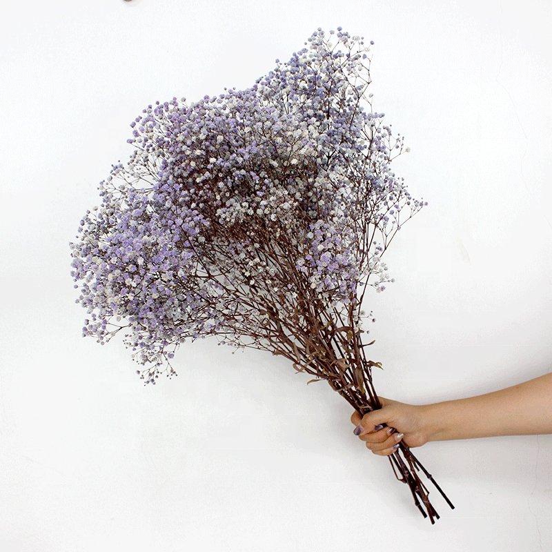 Hot Selling 2024 Preserved Baby's Breath Flowers Gypsophila for Wedding Home Decoration dried and preserved colorful Baby Breath