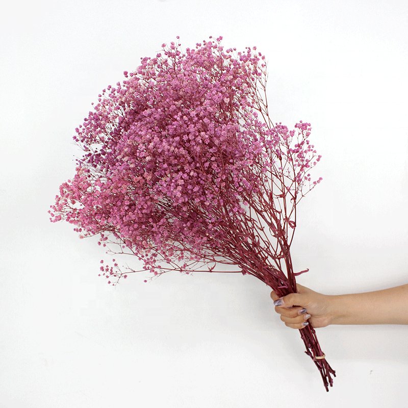 Hot Selling 2024 Preserved Baby's Breath Flowers Gypsophila for Wedding Home Decoration dried and preserved colorful Baby Breath