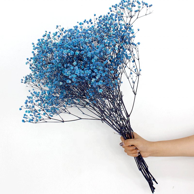 Hot Selling 2024 Preserved Baby's Breath Flowers Gypsophila for Wedding Home Decoration dried and preserved colorful Baby Breath