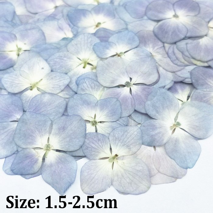 Hydrangea Laurustinus natural preserved flowers dried pressed flower for resin soap