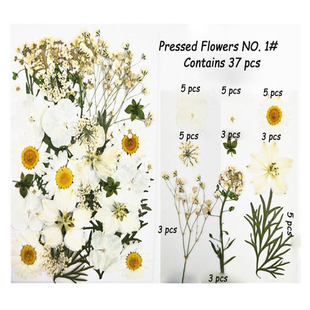 Dried Pressed Flowers Leaves for Resin Candle Soap Jewelry Making Scrapbooking DIY and Resin Art Floral Decor