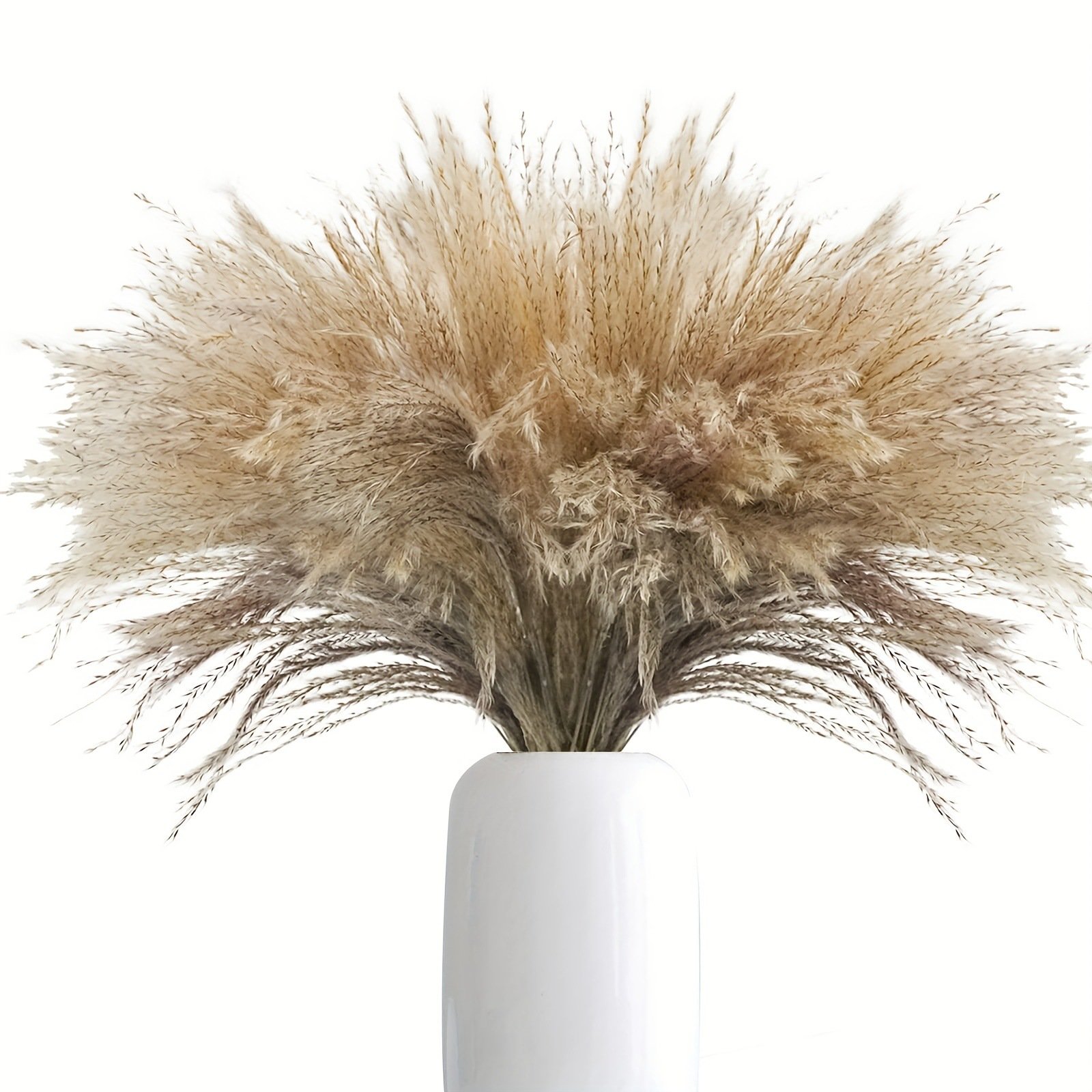 Wholesale 43CM 10pcs Pampas Grass Dry Flower for Vase Home Boho Decor Floral Arrangements Large Pampas Grass
