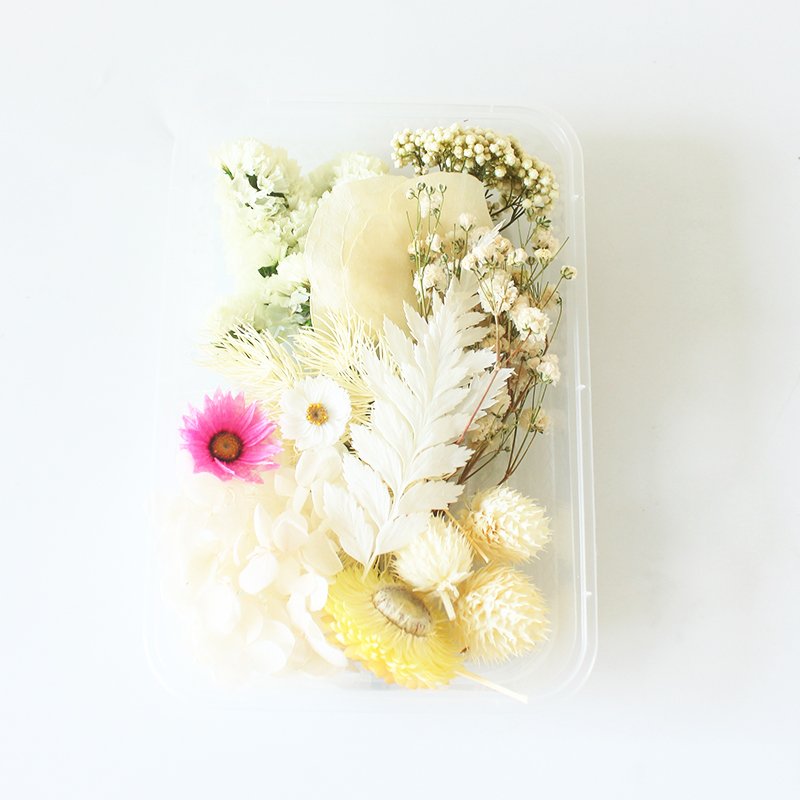 Wholesale Mini Mixed Dry Flowers Multicolor Natural Eucalyptus Bulk Dried Materials Small Package Deco
