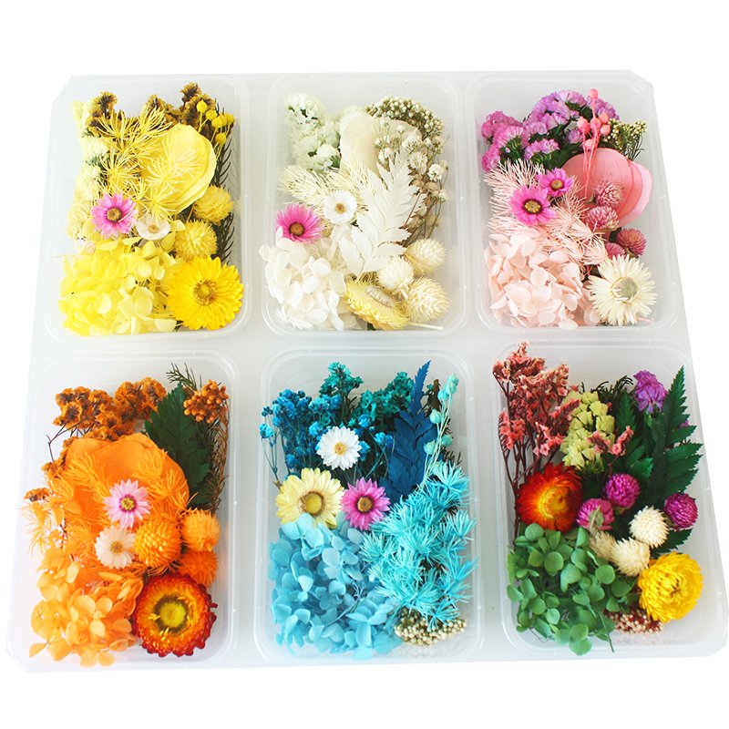 Wholesale Mini Mixed Dry Flowers Multicolor Natural Eucalyptus Bulk Dried Materials Small Package Deco