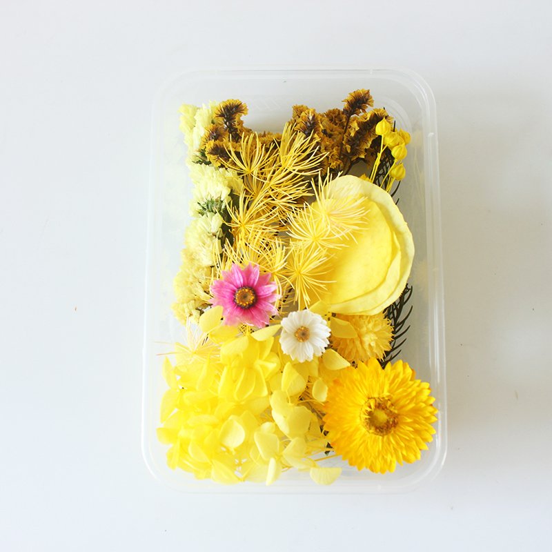Wholesale Mini Mixed Dry Flowers Multicolor Natural Eucalyptus Bulk Dried Materials Small Package Deco