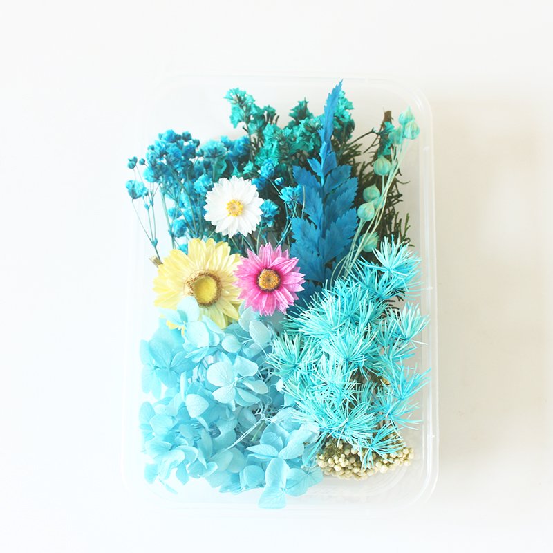 Wholesale Mini Mixed Dry Flowers Multicolor Natural Eucalyptus Bulk Dried Materials Small Package Deco