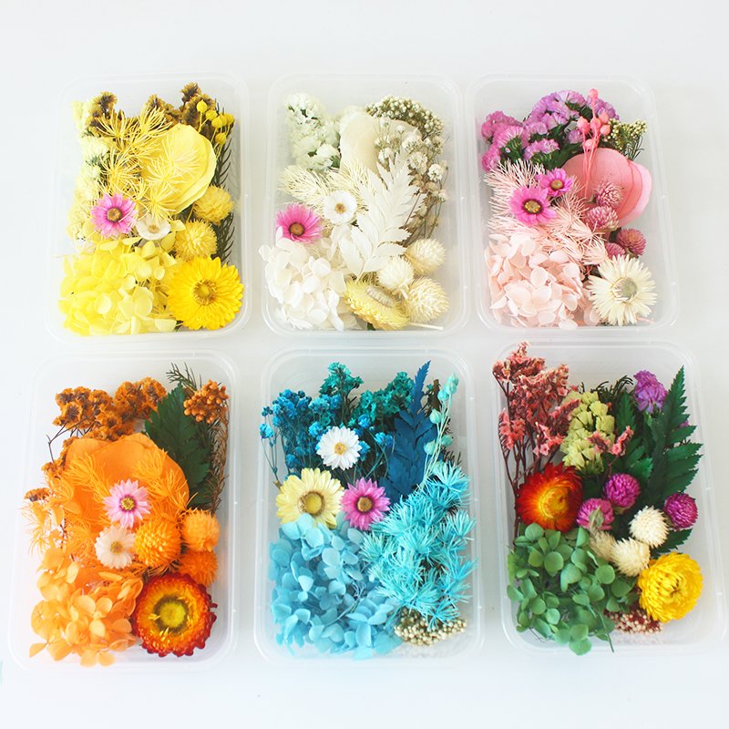 Wholesale Mini Mixed Dry Flowers Multicolor Natural Eucalyptus Bulk Dried Materials Small Package Deco
