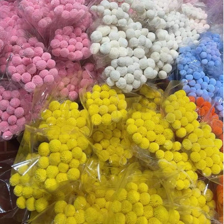 Hot Sell Dried Flower Natural Wedding Home Floral Decor Craspedia Golden Ball Dried Wedding Billy Balls