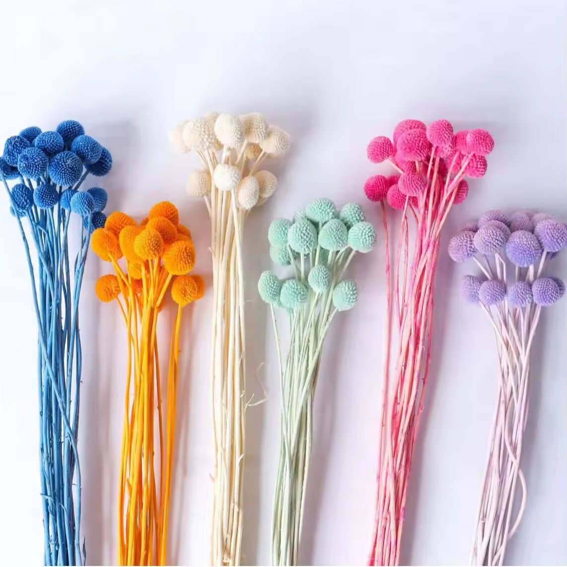 Hot Sell Dried Flower Natural Wedding Home Floral Decor Craspedia Golden Ball Dried Wedding Billy Balls